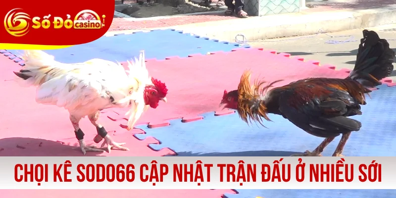 Chọi kê SODO66 cập nhật trận đấu ở nhiều sới