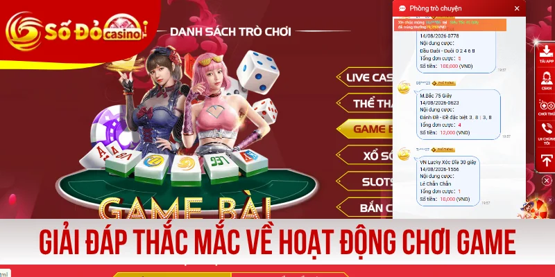 Giải đáp thắc mắc về hoạt động chơi game