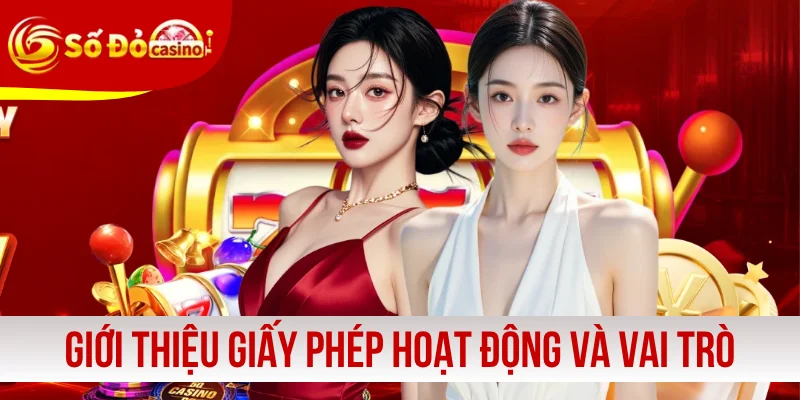Giới thiệu giấy phép hoạt động và vai trò