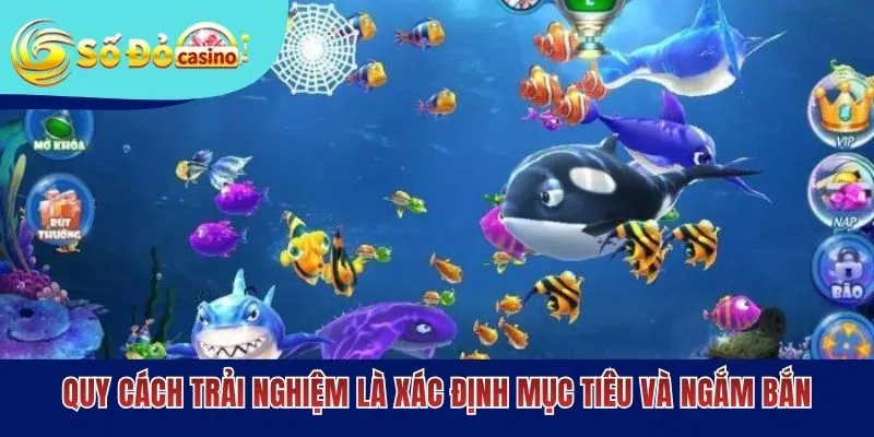 Quy cách trải nghiệm là xác định mục tiêu và ngắm bắn