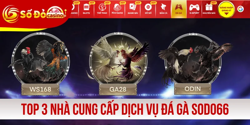 Top 3 nhà cung cấp dịch vụ đá gà SODO66